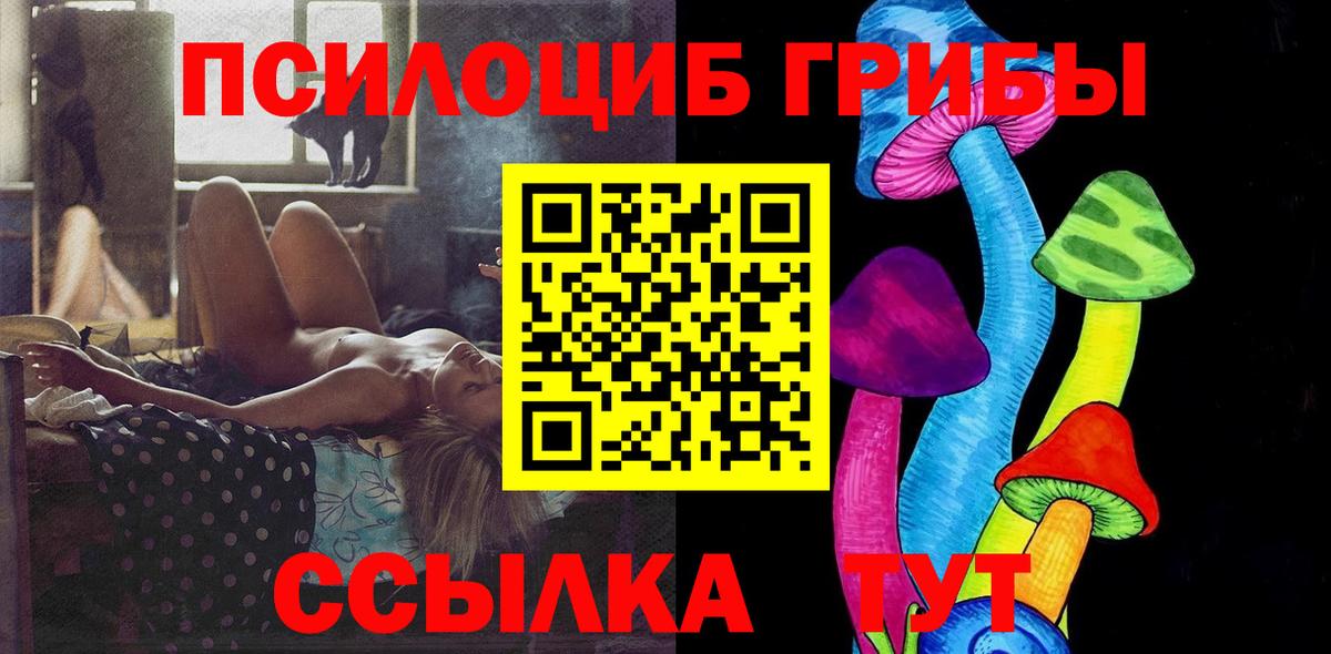 Псилоцибиновые грибы Cubensis Солнечногорск