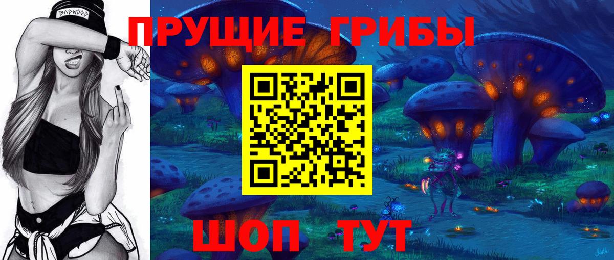 Солнечногорск  продажа наркотиков  Вход с VPN  Галлюциногенные грибы мицелий 